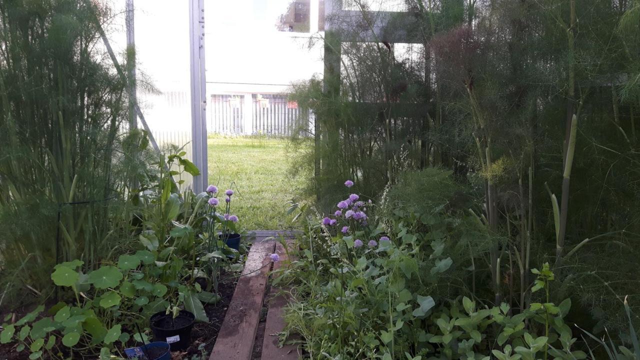 Hostel שטראלסונד מראה חיצוני תמונה